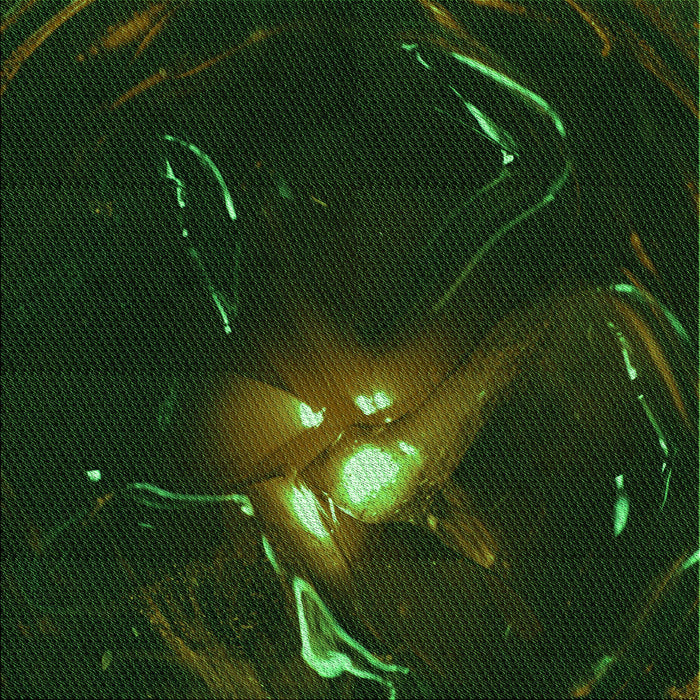 Round Machine Washable Transitional Black Rug, wshpat1242grn