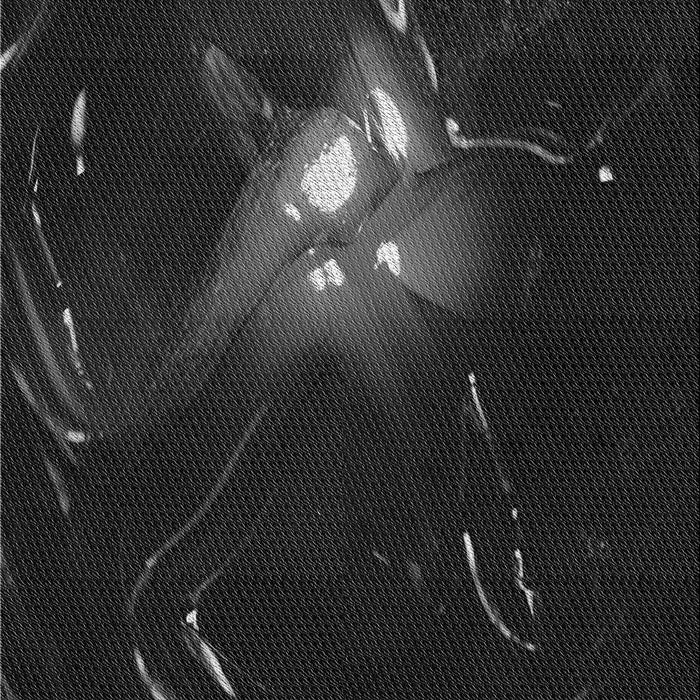 Machine Washable Transitional Black Rug, wshpat1242gry