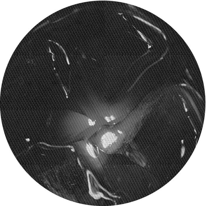 Square Machine Washable Transitional Black Rug in a Living Room, wshpat1242gry