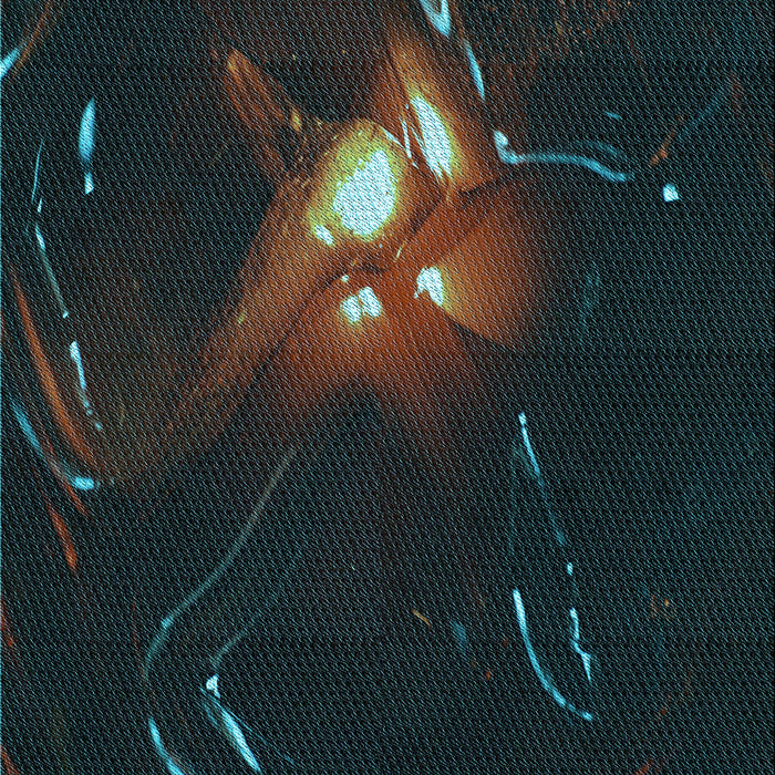 Machine Washable Transitional Midnight Gray Rug, wshpat1242lblu