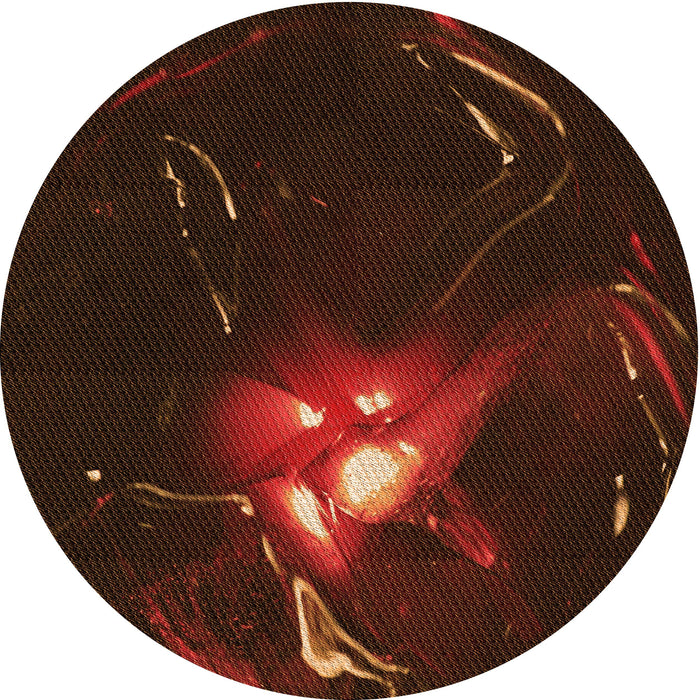 Square Machine Washable Transitional Red Brown Rug in a Living Room, wshpat1242org