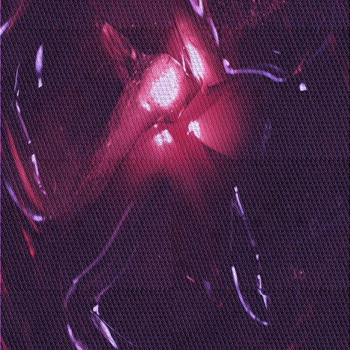 Machine Washable Transitional Purple Rug, wshpat1242pur