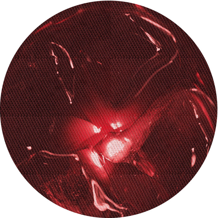 Square Machine Washable Transitional Saffron Red Rug in a Living Room, wshpat1242rd