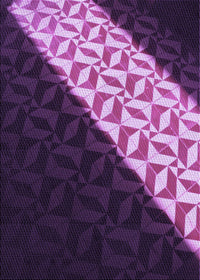 Machine Washable Transitional Dark Purple Rug, wshpat1244pur