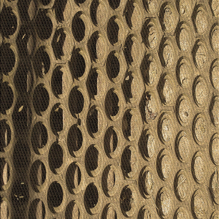 Patterned Caramel Brown Rug, pat1246brn