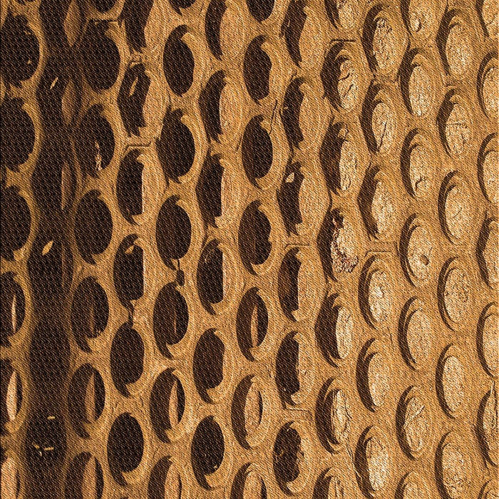 Machine Washable Transitional Orange Rug, wshpat1246org