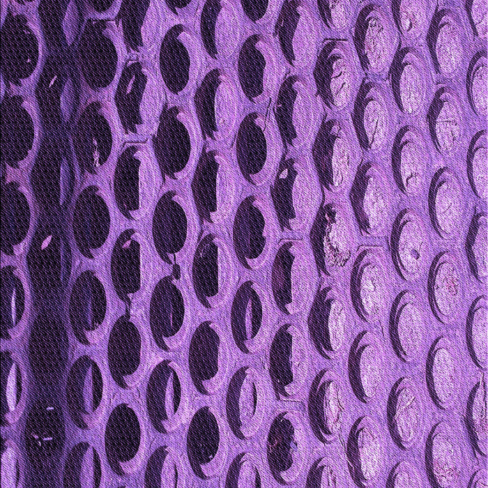 Patterned Purple Rug, pat1246pur