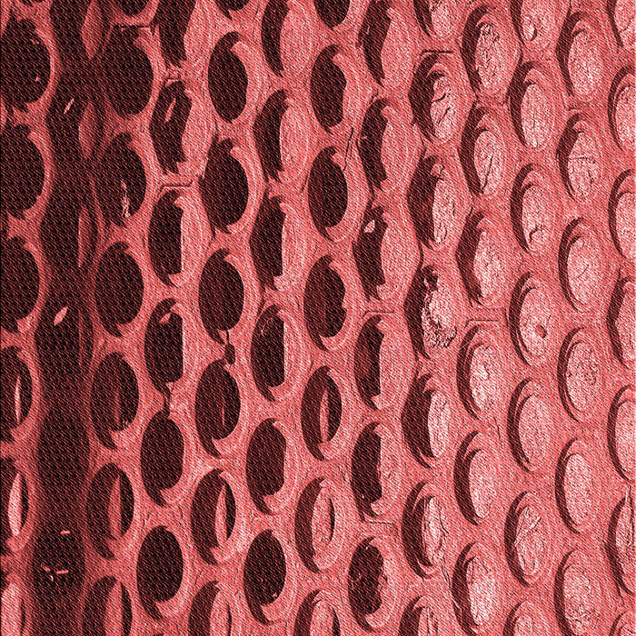 Patterned Cranberry Red Rug, pat1246rd