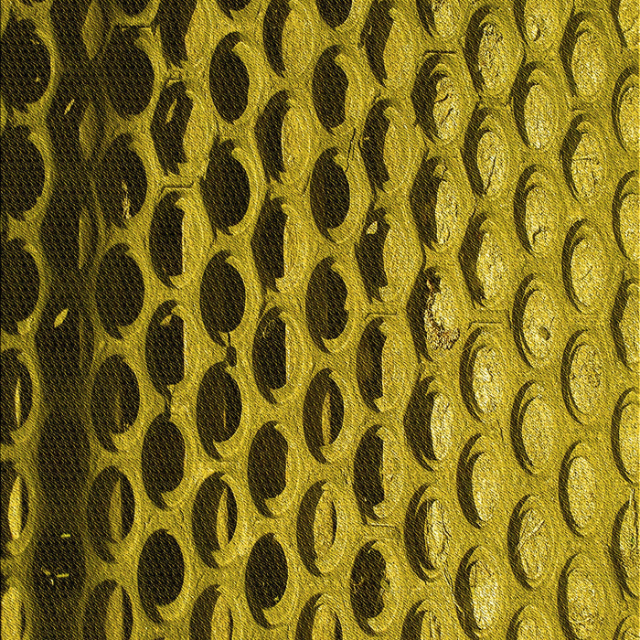 Patterned Orange Gold Rug, pat1246yw