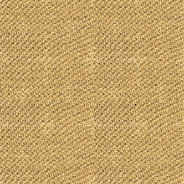 Machine Washable Transitional Saffron Yellow Rug, wshpat1248brn