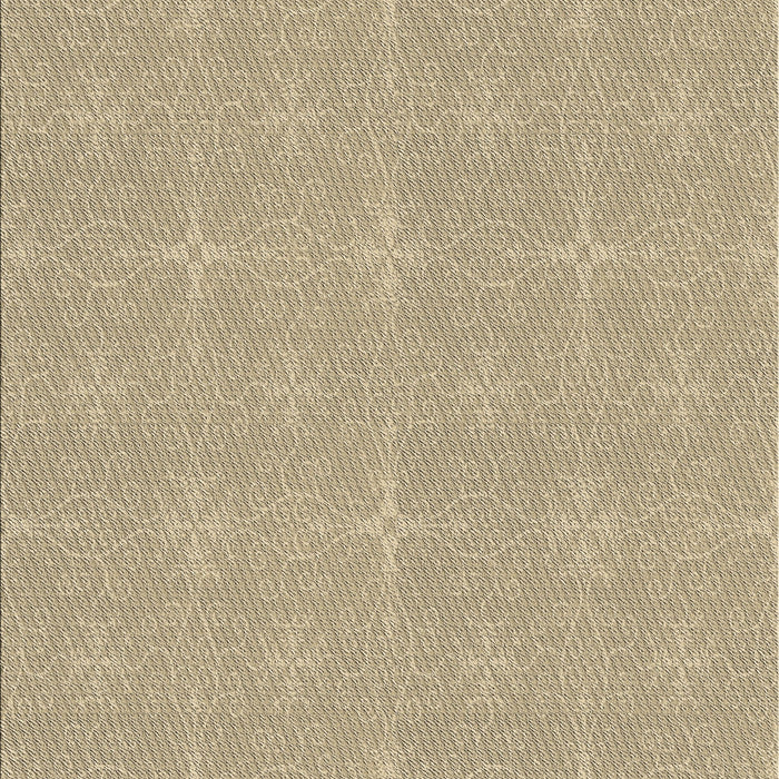 Patterned Brown Novelty Rug, pat1248