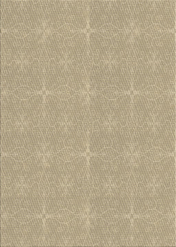 Machine Washable Transitional Brown Rug, wshpat1248