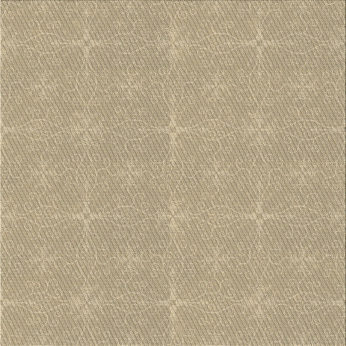 Sideview of Machine Washable Transitional Brown Rug, wshpat1248