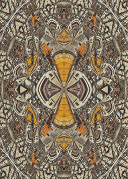 Machine Washable Transitional Light French Beige Brown Rug, wshpat124