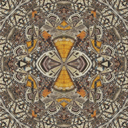 Sideview of Machine Washable Transitional Light French Beige Brown Rug, wshpat124