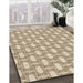 Machine Washable Transitional Golden Blonde Gold Rug in a Family Room, wshpat1253brn