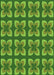 Patterned Green Rug, pat1255grn