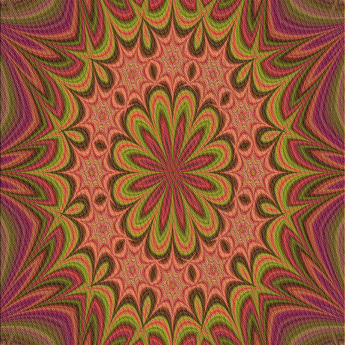 Machine Washable Transitional Red Rug, wshpat1257org