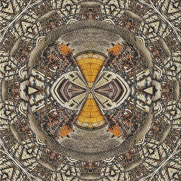 Sideview of Machine Washable Transitional Light French Beige Brown Rug, wshpat125