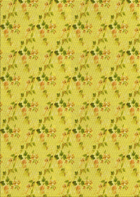 Machine Washable Transitional Yellow Rug, wshpat1266yw