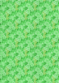 Machine Washable Transitional Neon Green Rug, wshpat1268grn