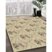 Patterned Khaki Gold Novelty Rug in Family Room, pat1269