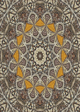 Machine Washable Transitional Light French Beige Brown Rug, wshpat126