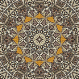 Sideview of Machine Washable Transitional Light French Beige Brown Rug, wshpat126