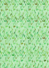 Machine Washable Transitional Light Green Rug, wshpat1272grn