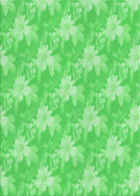 Machine Washable Transitional Neon Green Rug, wshpat1273grn