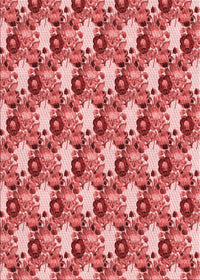 Machine Washable Transitional Light Coral Pink Rug, wshpat1276rd