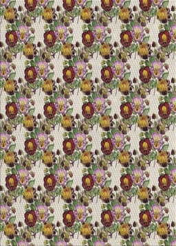 Machine Washable Transitional Sepia Brown Rug, wshpat1276