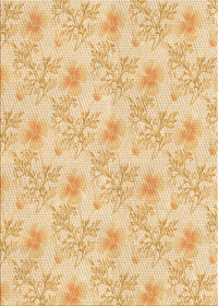 Machine Washable Transitional Orange Rug, wshpat1277org