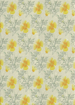 Machine Washable Transitional Brass Green Rug, wshpat1277