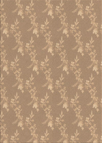 Machine Washable Transitional Brown Sand Brown Rug, wshpat1278brn