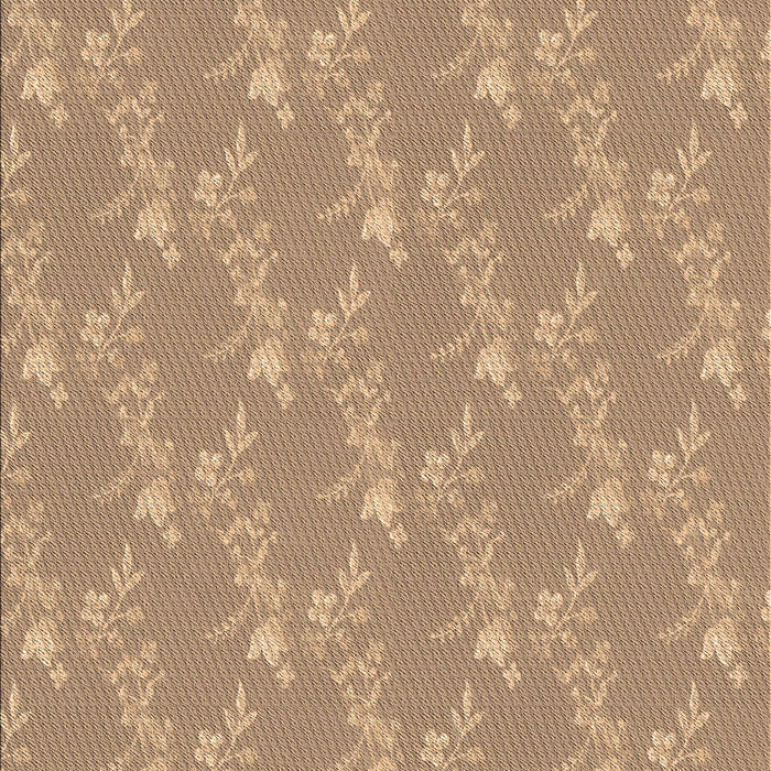 Machine Washable Transitional Brown Sand Brown Rug, wshpat1278brn