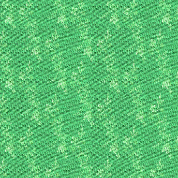 Machine Washable Transitional Neon Green Rug, wshpat1278grn