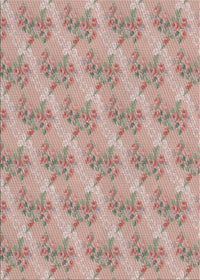 Machine Washable Transitional Rust Pink Rug, wshpat1279