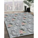 Patterned Gray Novelty Rug in Family Room, pat1280