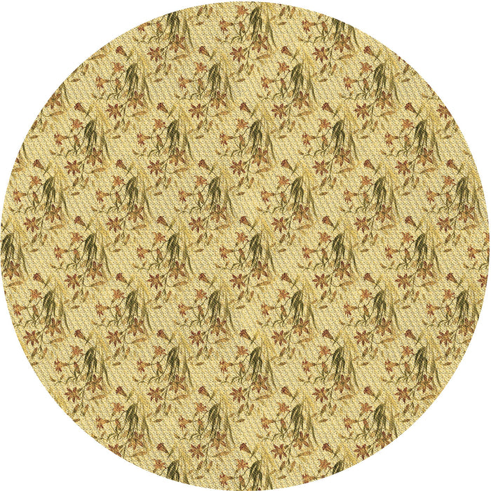 Square Machine Washable Transitional Dark Golden Brown Rug in a Living Room, wshpat1281brn