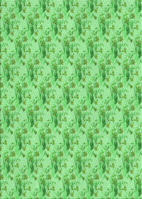 Machine Washable Transitional Jade Green Rug, wshpat1281grn