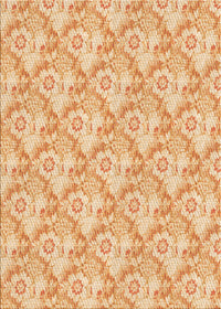 Machine Washable Transitional Brown Gold Rug, wshpat1286org