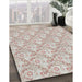 Patterned Dark Almond Brown Novelty Rug in Family Room, pat1286