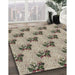 Machine Washable Transitional Brown Rug in a Family Room, wshpat1287