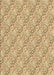 Machine Washable Transitional Cinnamon Brown Rug, wshpat1289brn