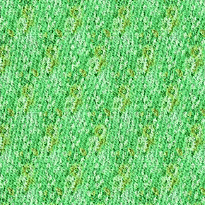 Machine Washable Transitional Neon Green Rug, wshpat1289grn