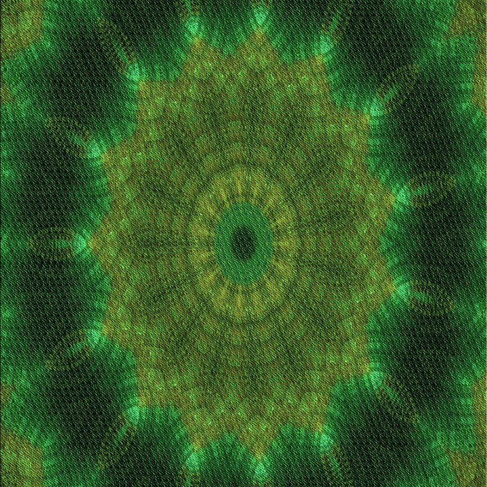 Machine Washable Transitional Dark Lime Green Rug, wshpat129grn