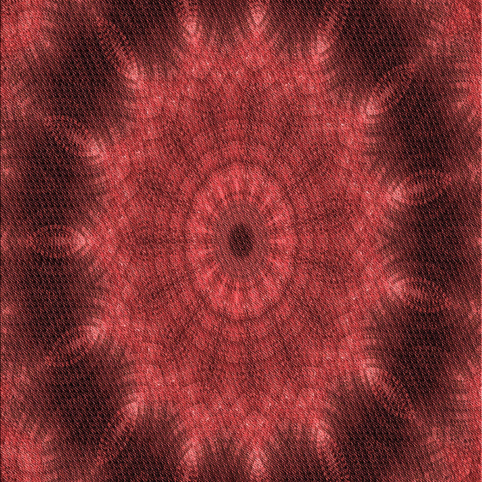 Machine Washable Transitional Cranberry Red Rug, wshpat129rd