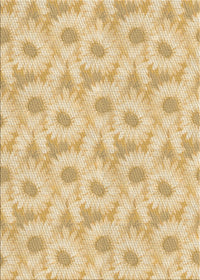 Machine Washable Transitional Brown Gold Rug, wshpat1292brn