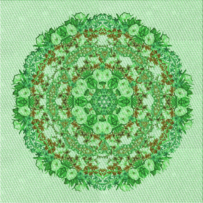 Round Machine Washable Transitional Jade Green Rug, wshpat1294grn